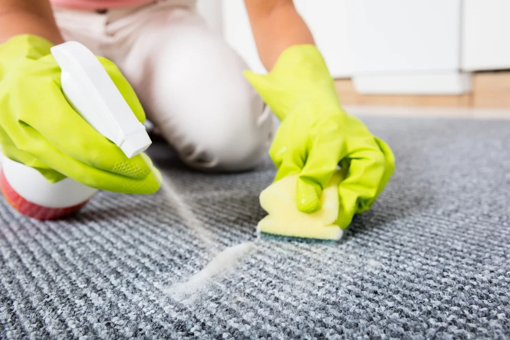 How to Get Smell Out of Carpet